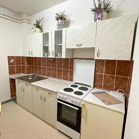 홈스테이 Apartman Pahuljica
